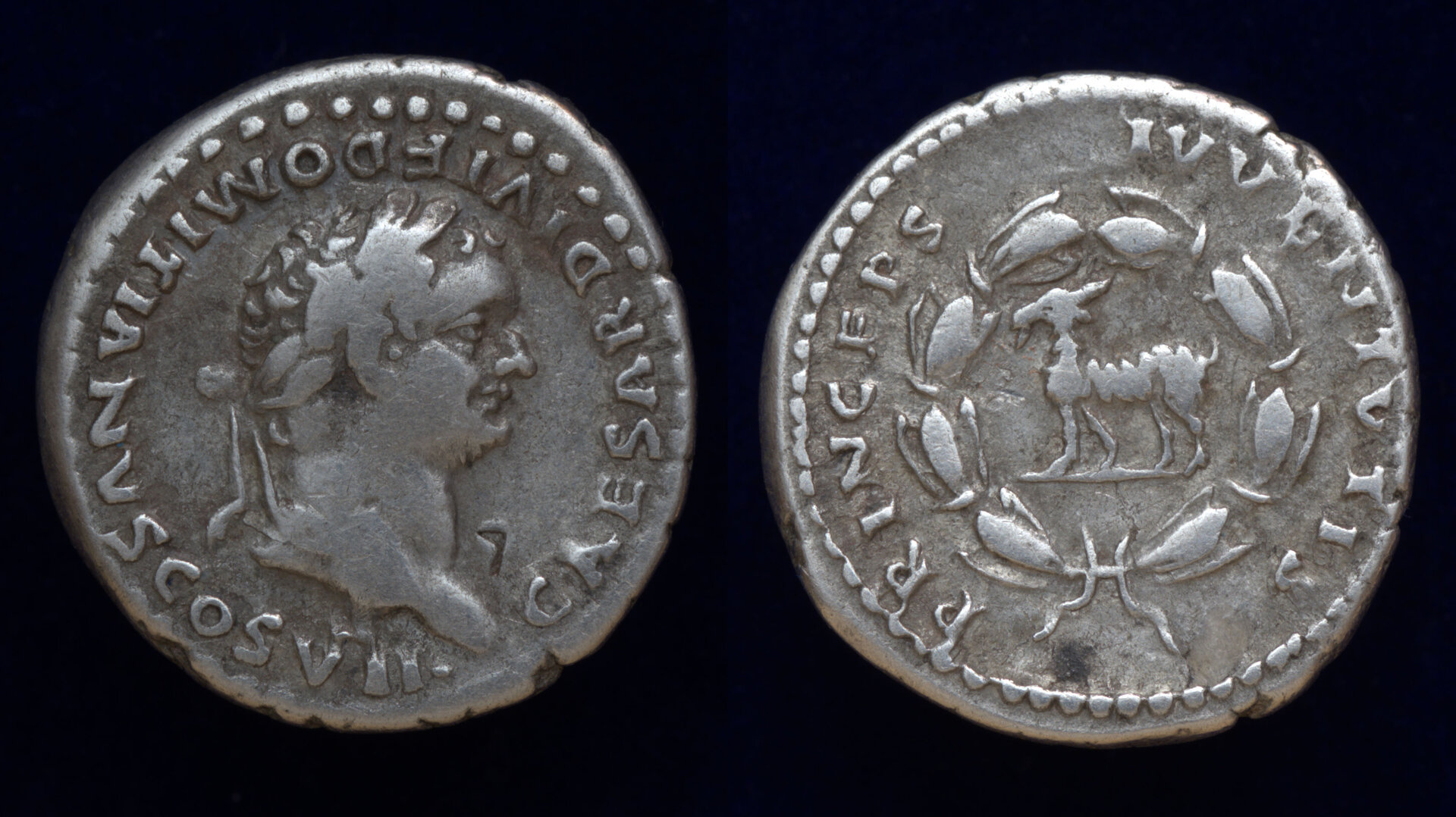 Domitian Princeps Ivventvti.jpg