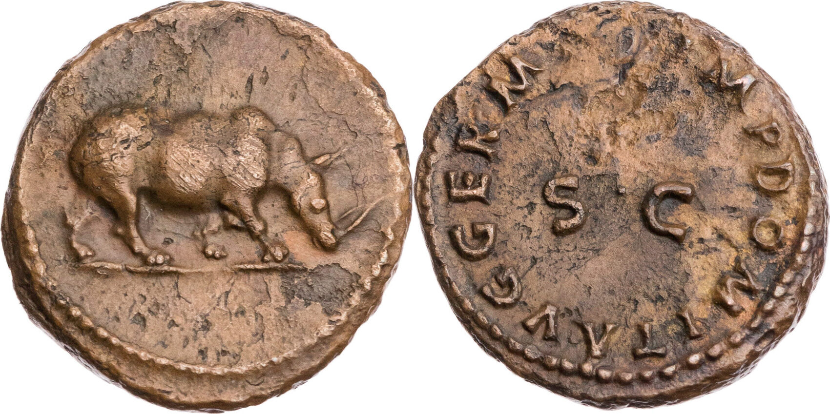 Domitian Quadrans Rhinoceros jpg version.jpg