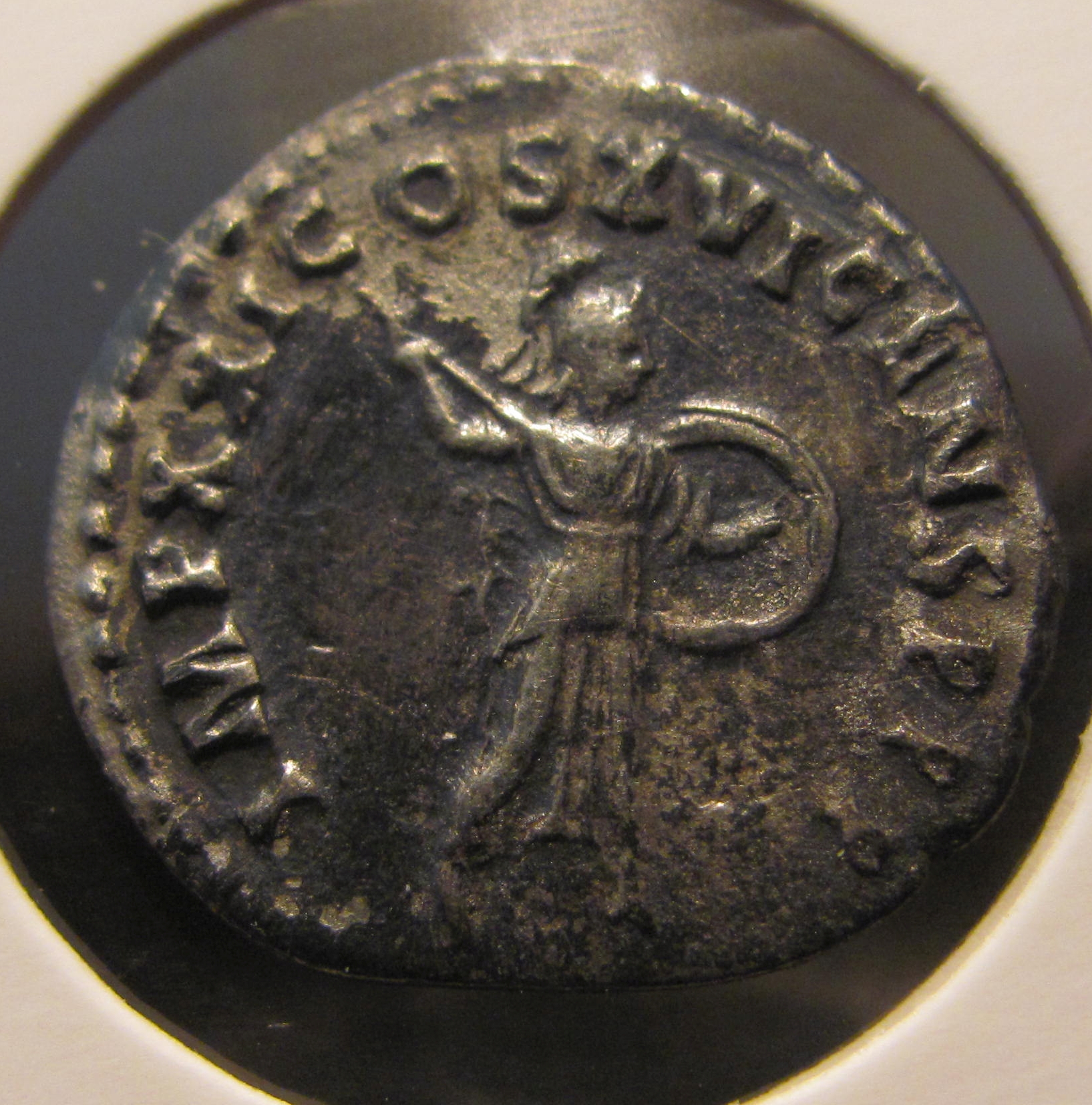 domitian R.jpg