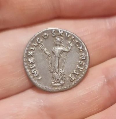 Domitian Rev Smaller.jpg