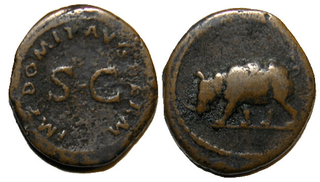 Domitian Rhinocerous 1.jpg