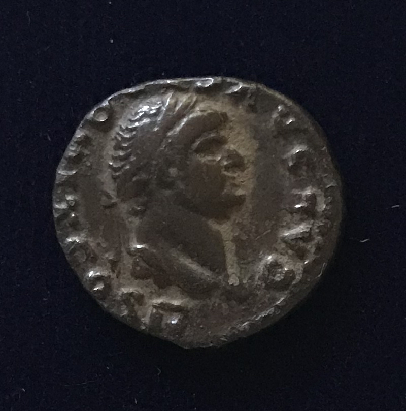 Domitian RIC 560 VESP Obv.jpg
