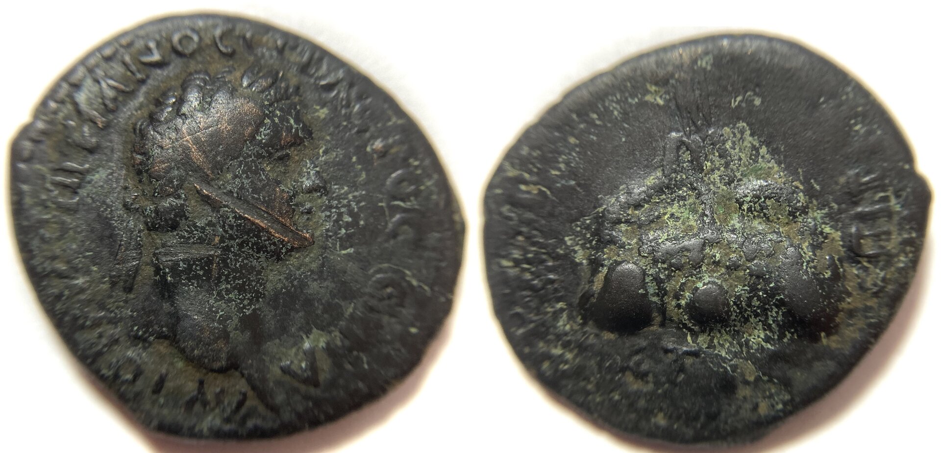 Domitian RPC Caesarea 1687.JPG
