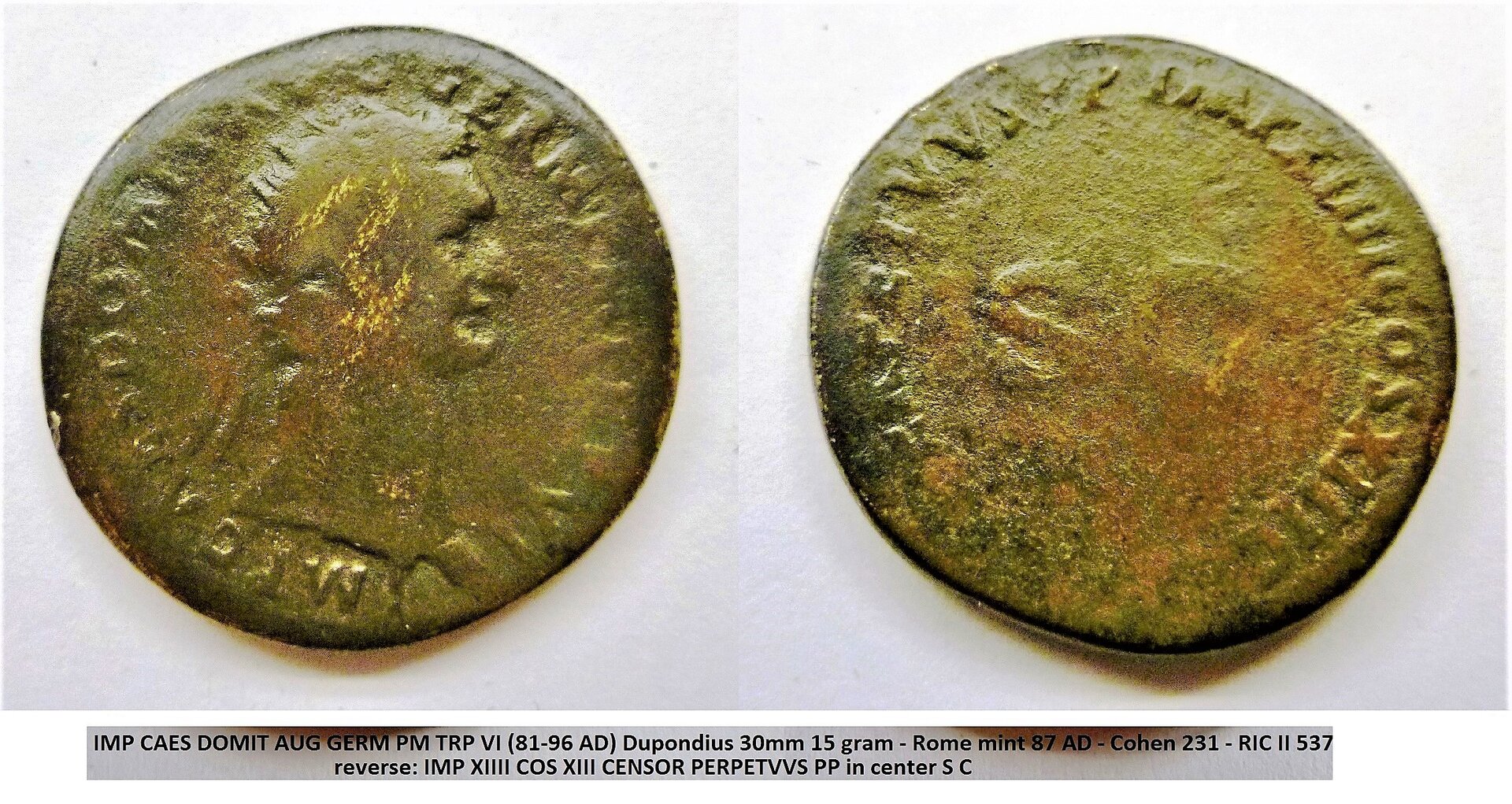 Domitian SC2 (2).jpg