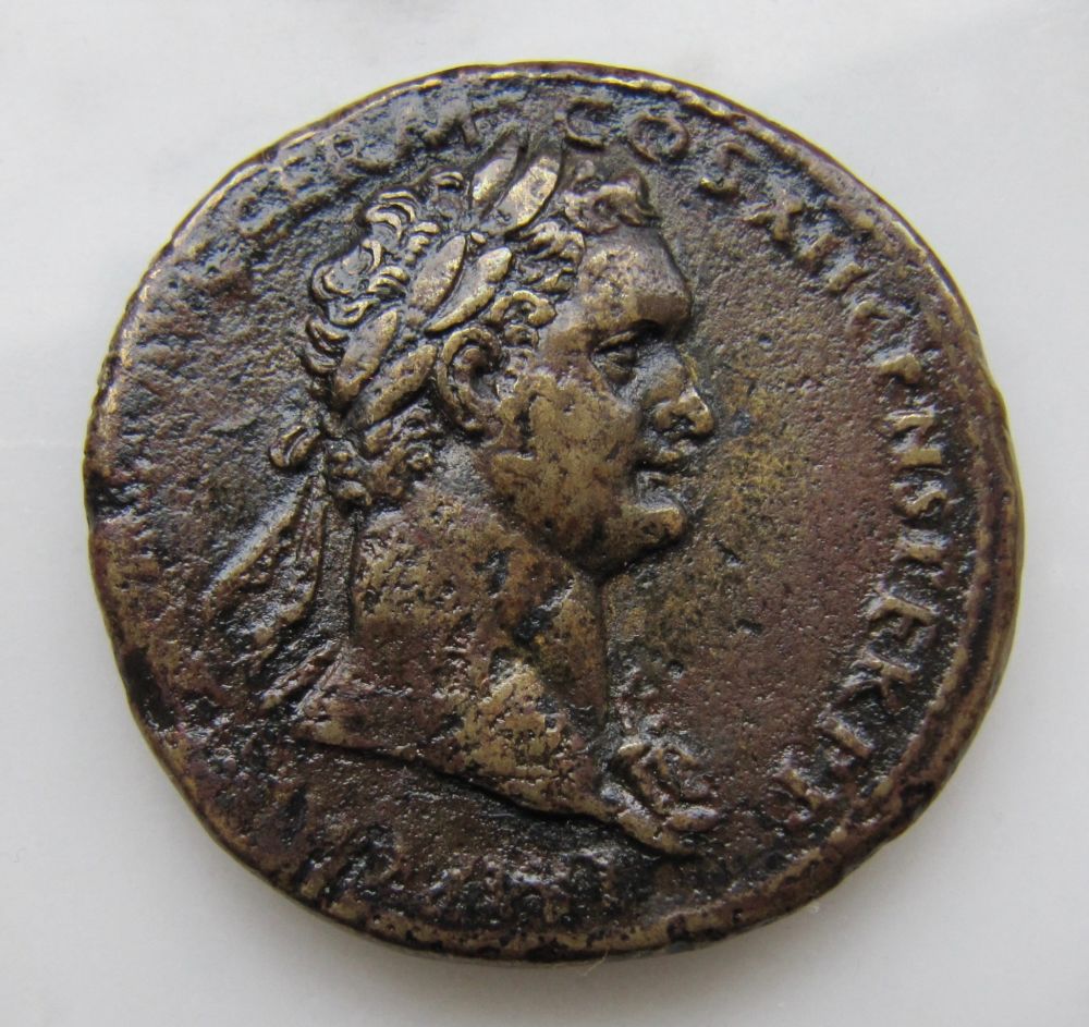 Domitian Sestertius zu Pferd- Obv - 1_opt.jpg