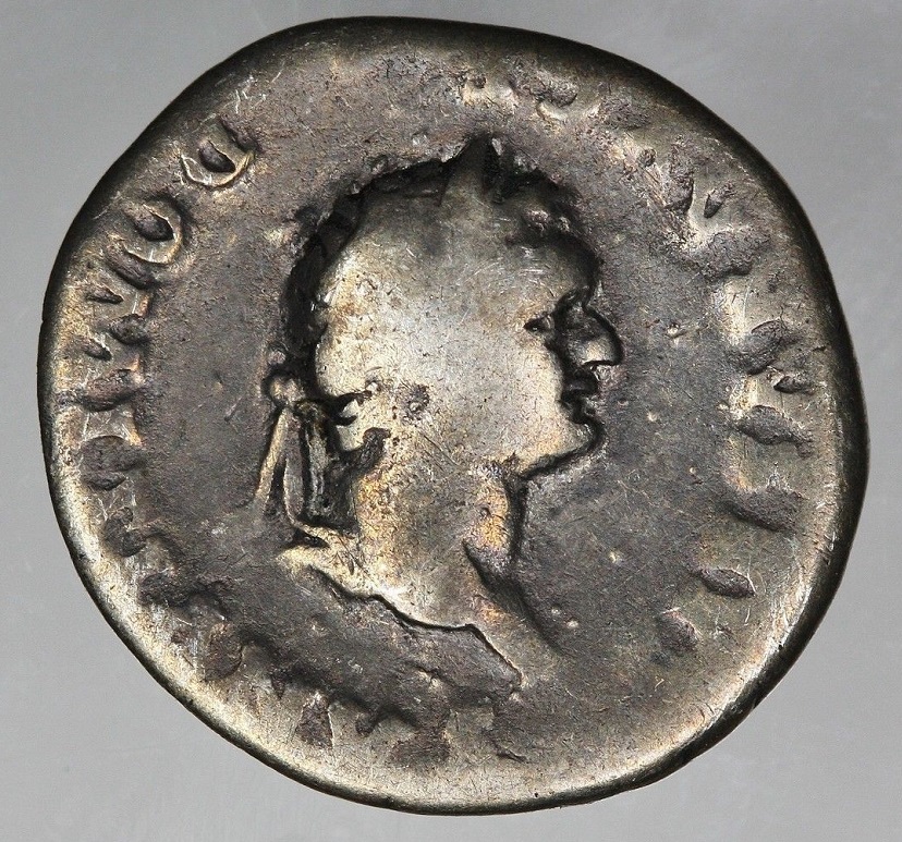 Domitian - She Wolf and Twins Jul 17.jpg
