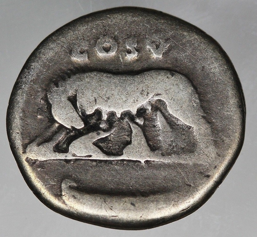 Domitian - She Wolf and Twins Jul 17a.jpg