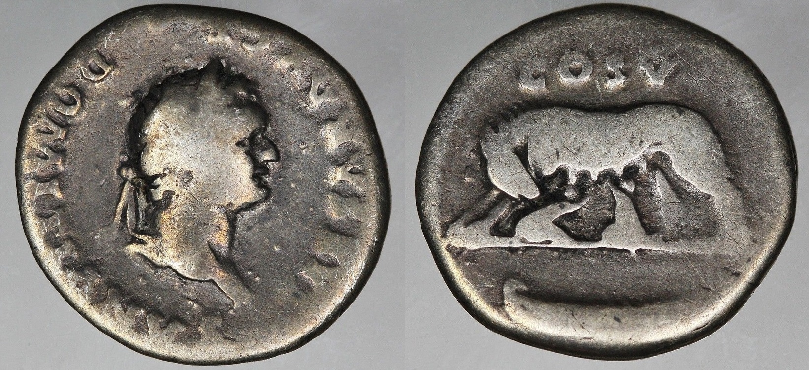 Domitian - She Wolf and Twins Jul 17va.jpg