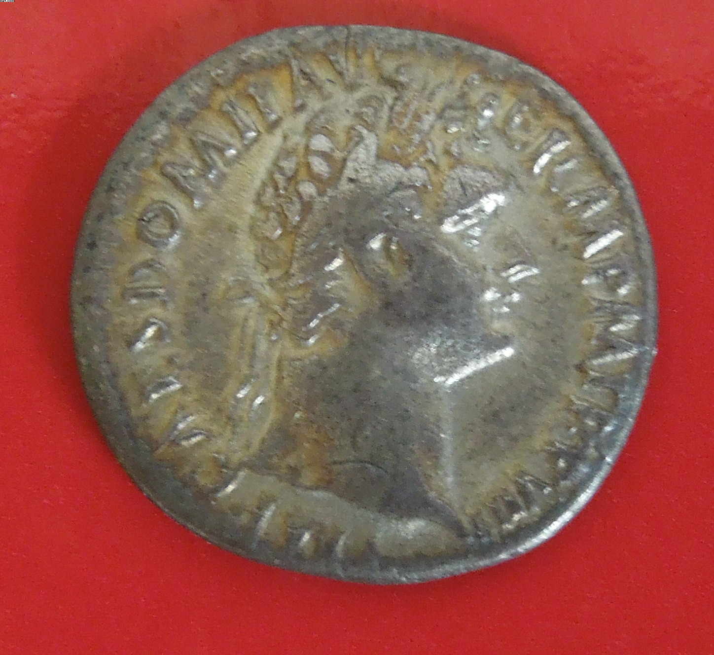 Domitian2723A.JPG