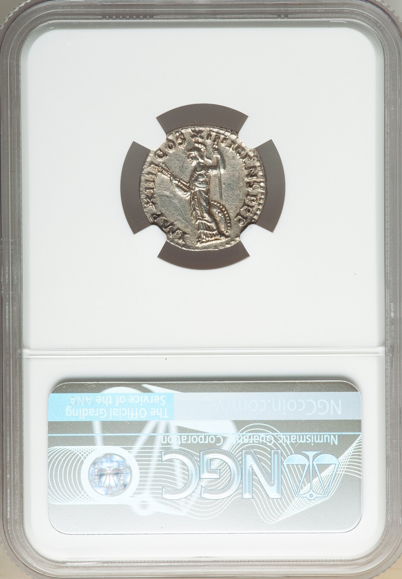 domitian2ct (2).jpg