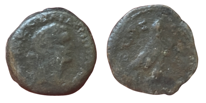 Domitian_Dattari_Plate_coin_Naville-removebg-preview.png