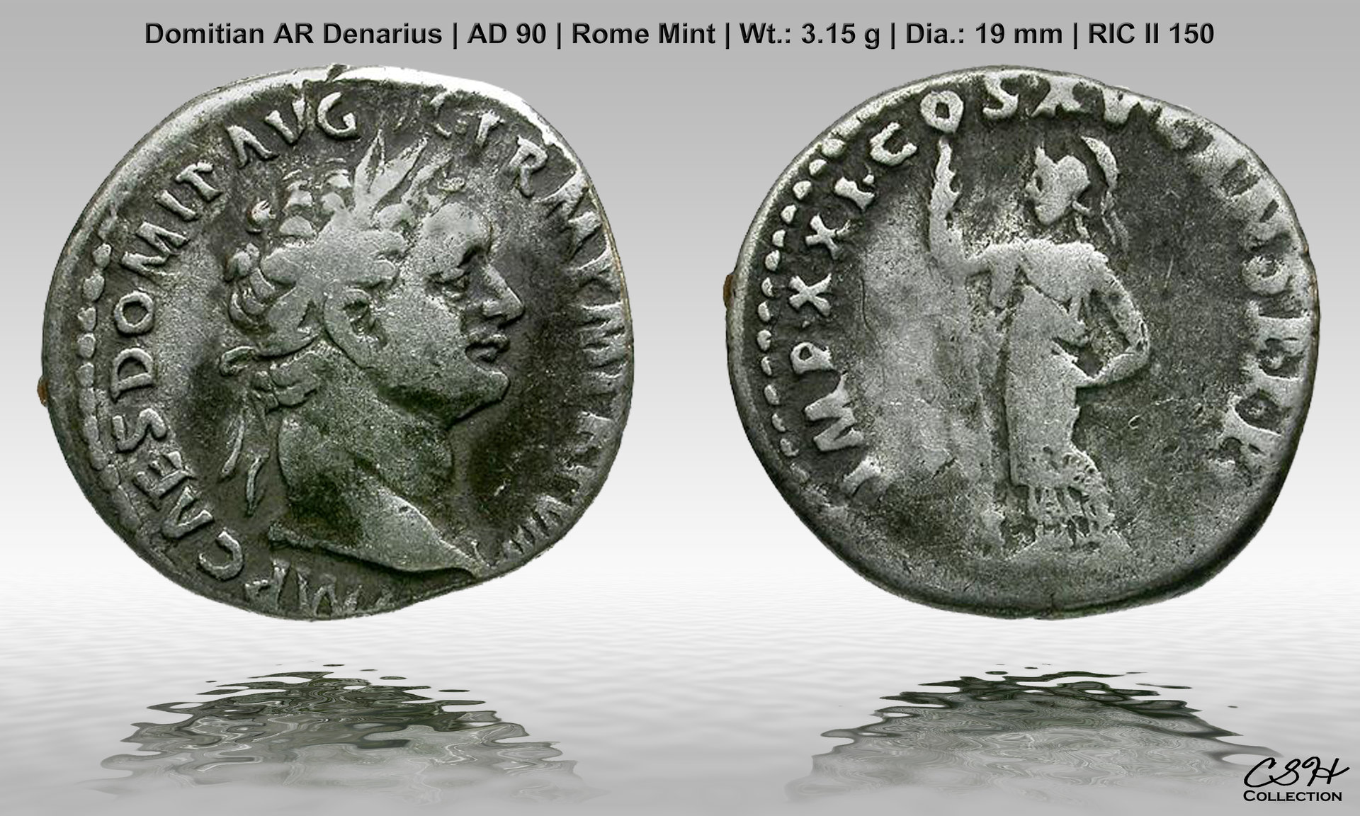 Domitian_Denarius_90_AD.jpg
