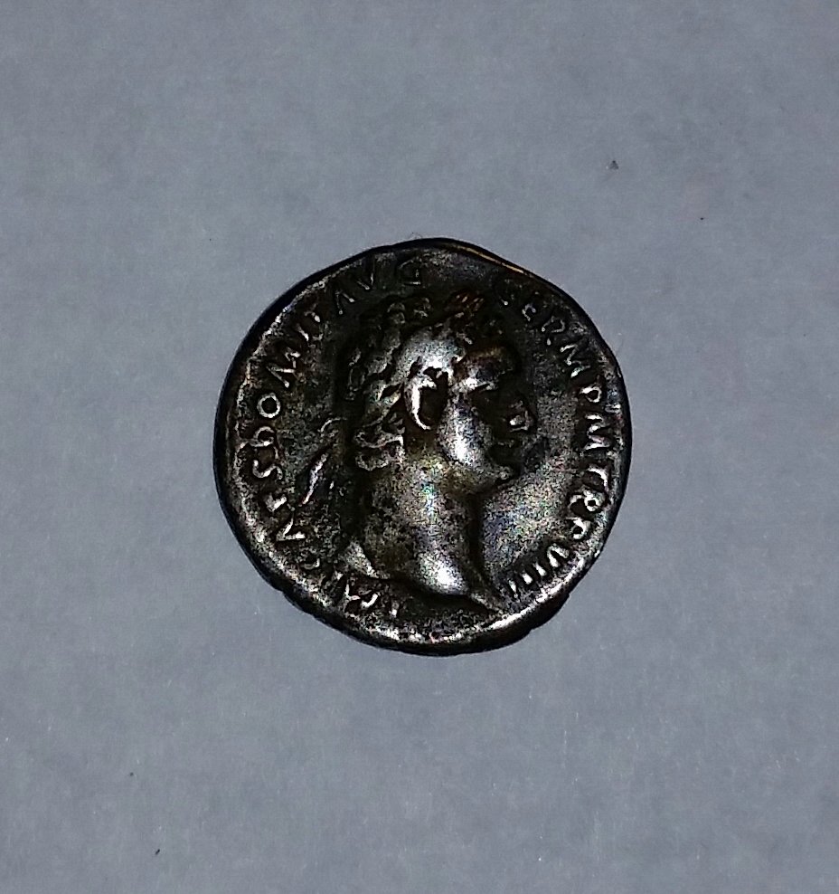 domitianDenariusObv.jpg