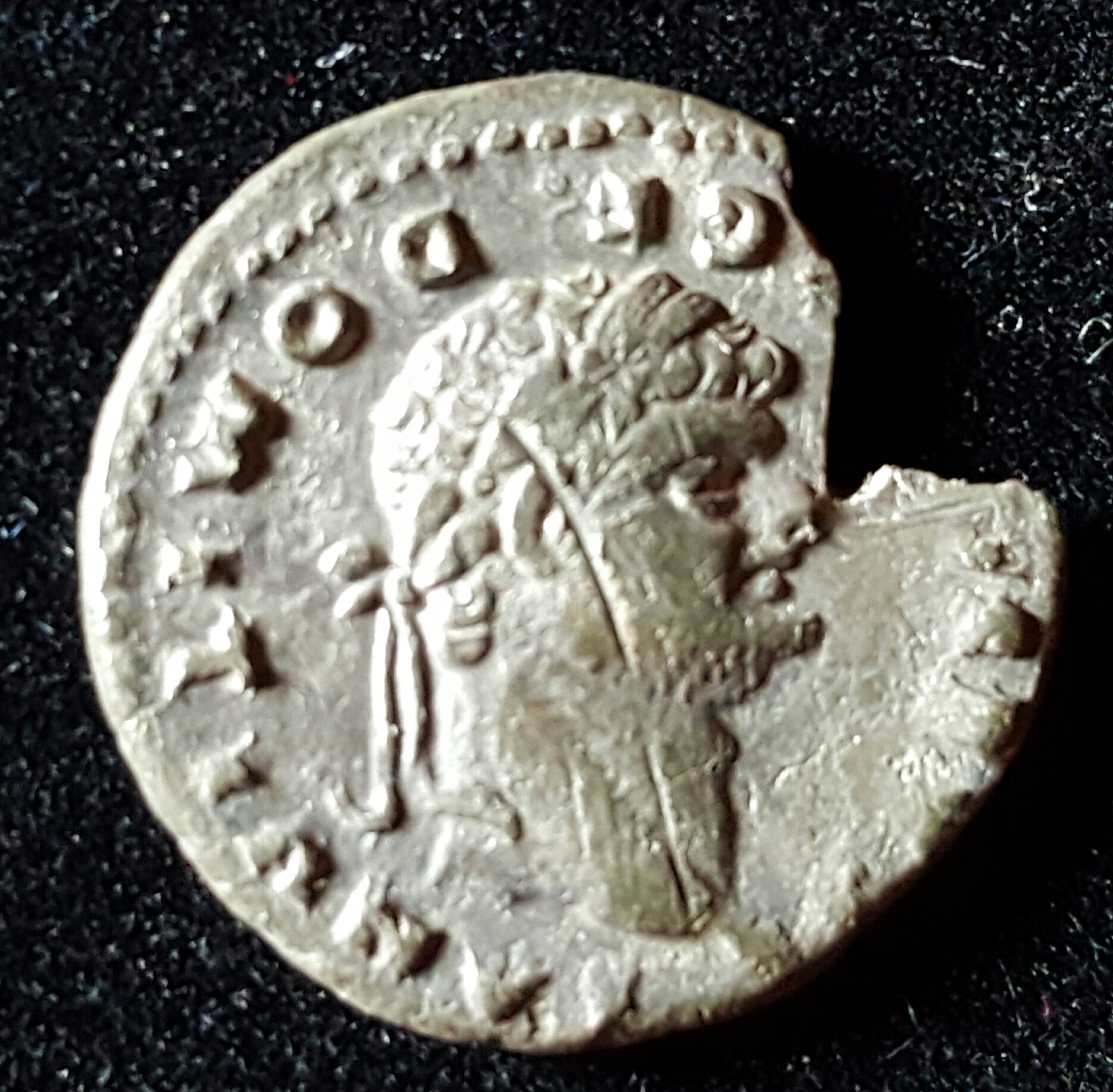 DOMITIANUS-PEGASUS.jpg