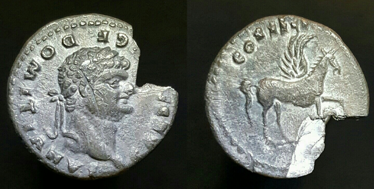 Domitianus-Pegasus [RIC].jpg