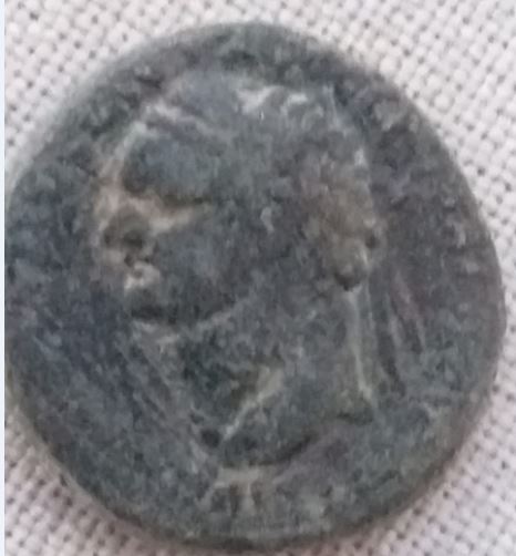 DomitMnerv O         Samaria.JPG