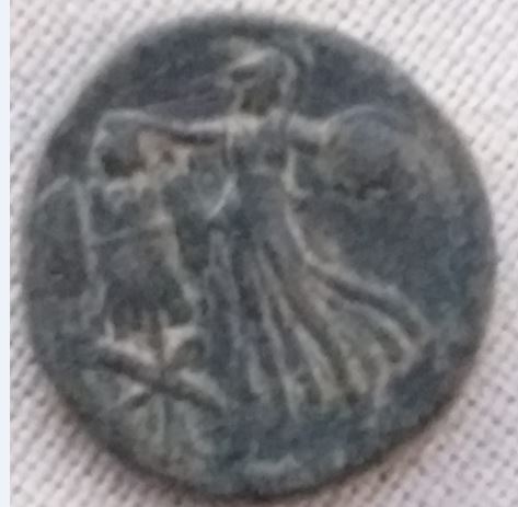 Domitnerv R  Hendin749.JPG