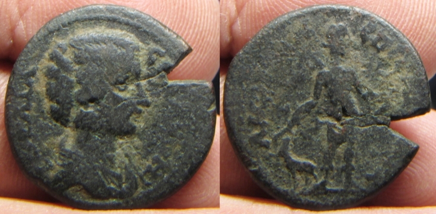 Domna.jpg
