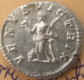 Domna2.jpg