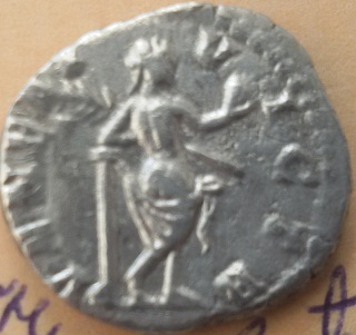 Domna4.jpg