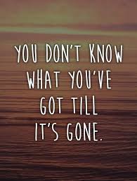 don't know what you got till its gone.jpg