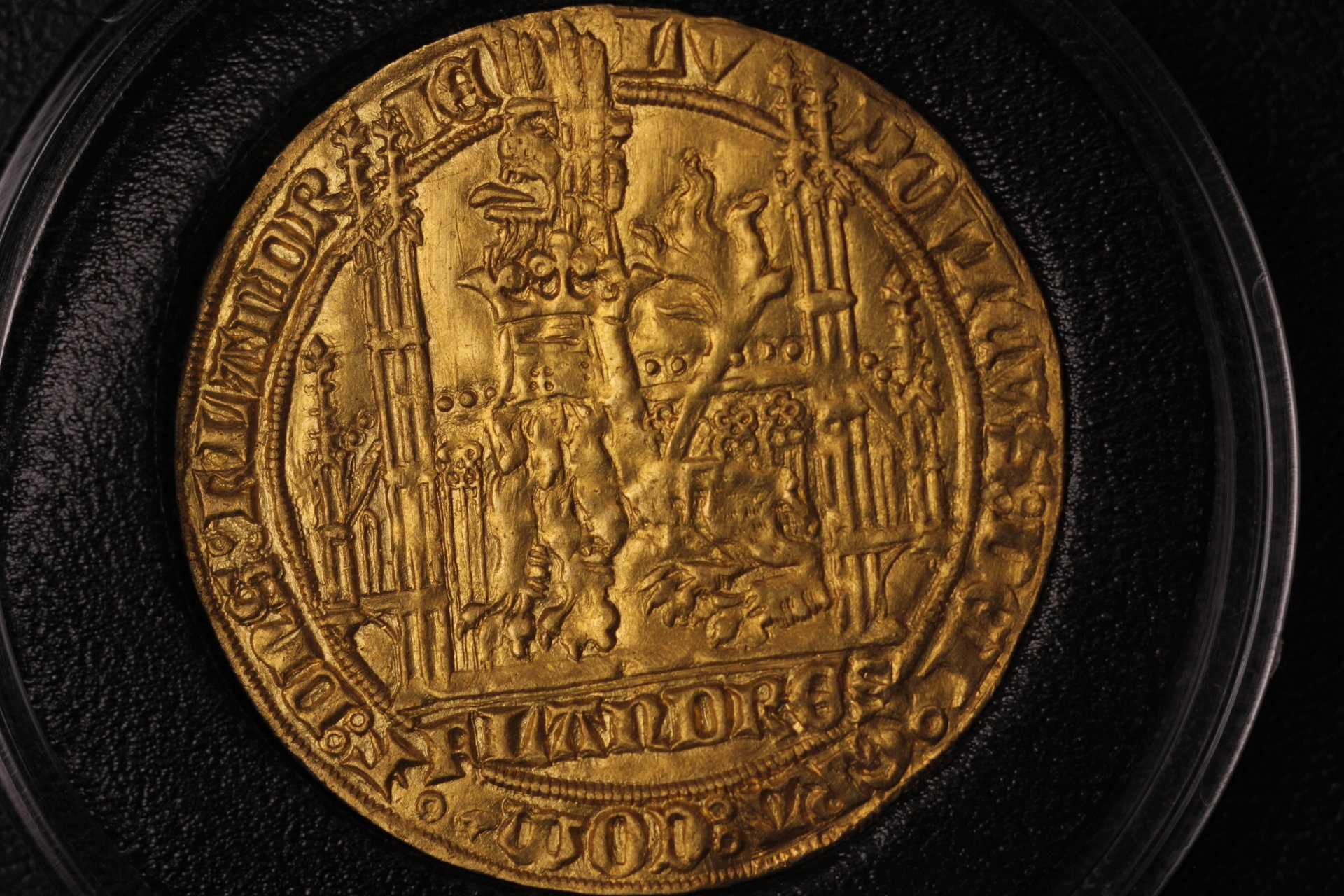D'or4.JPG
