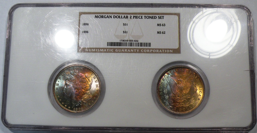 double toned morgan.jpg