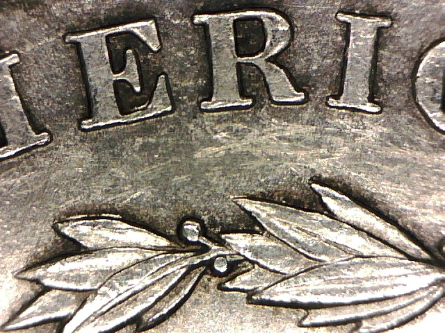 doubling inside leaves nightempler (2).jpg