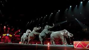 download (1)circus.jpg