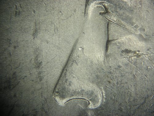 DPH VAM79 Nose.jpg