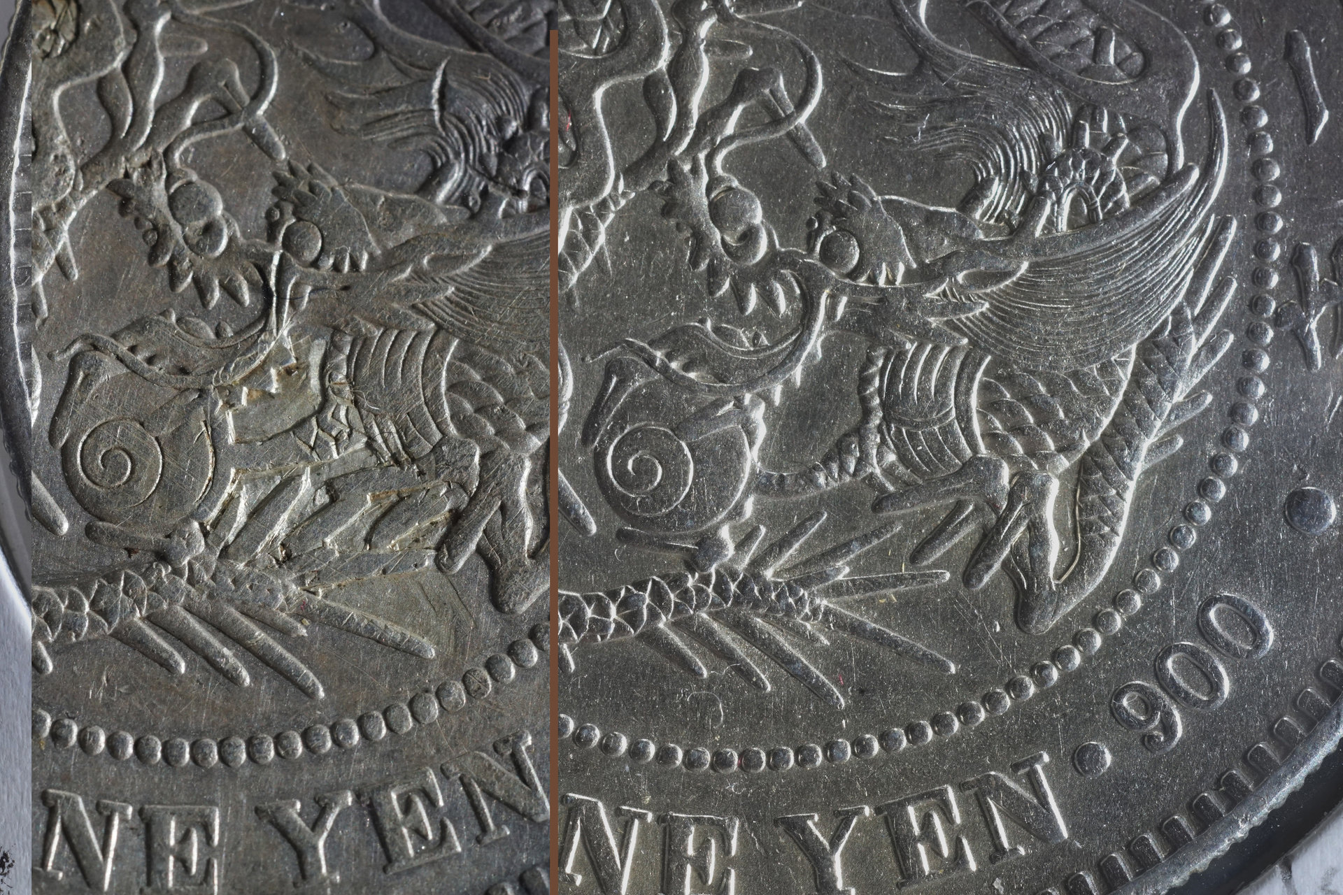 Dragon jaw comparison2.jpg