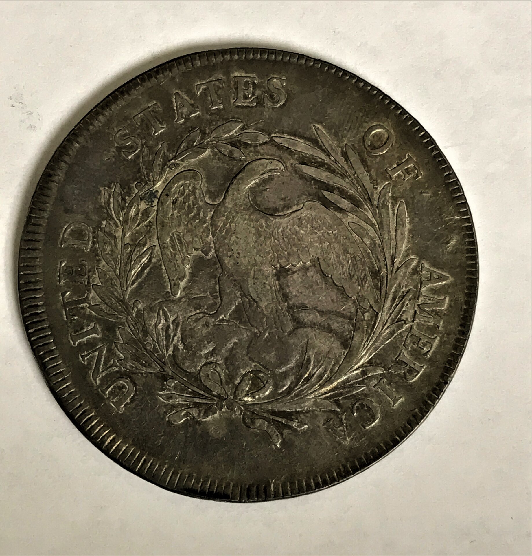 DrappedBust1795ReverseIMG_8739.jpg
