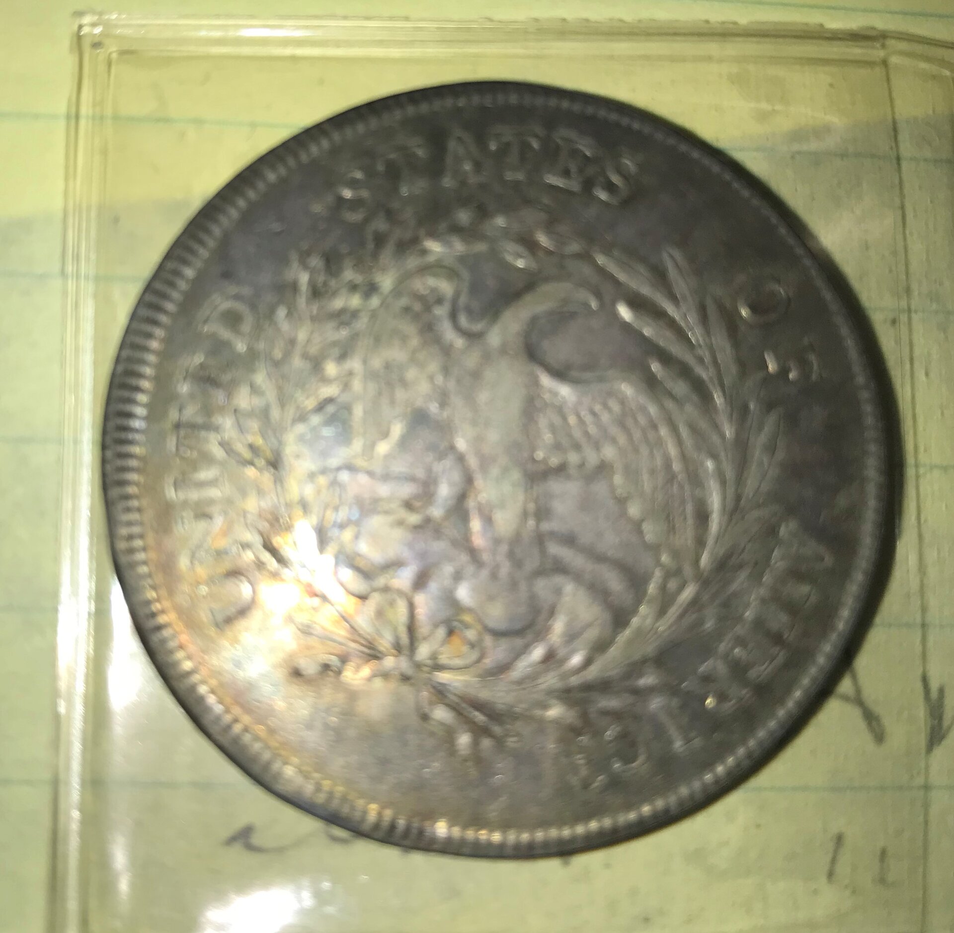 $DrappedIBust1795BakIMG_8138.jpg