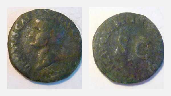 Drusus 1_opt.jpg