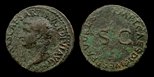 drusus 6.jpg