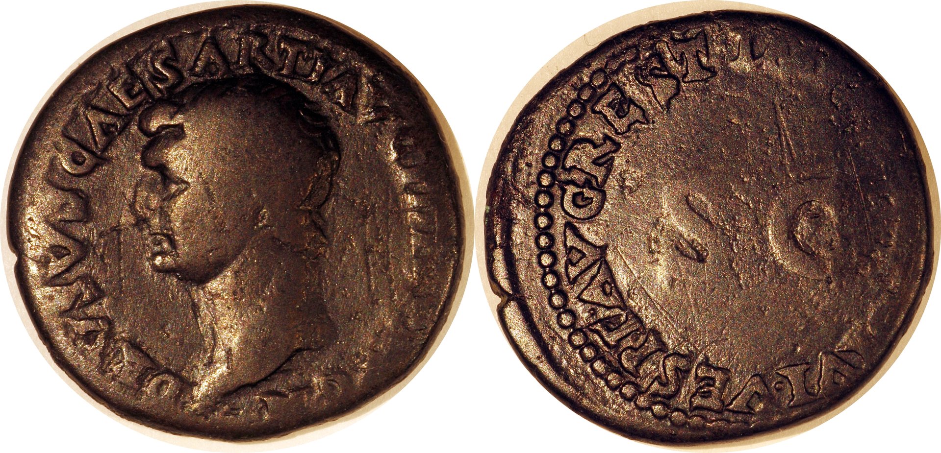 drusus.jpg