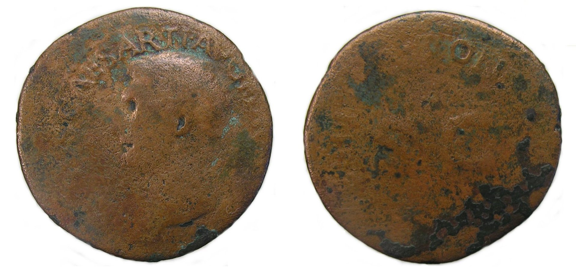 drusus-reshoot.jpg