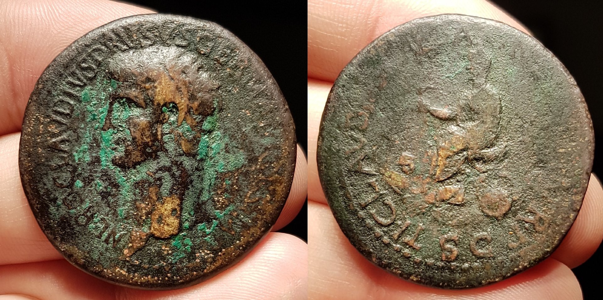 drusus tr.p.jpg