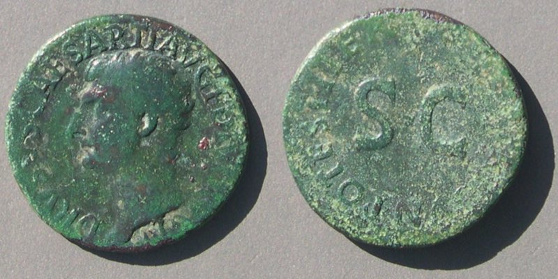 Drusus8234.jpg