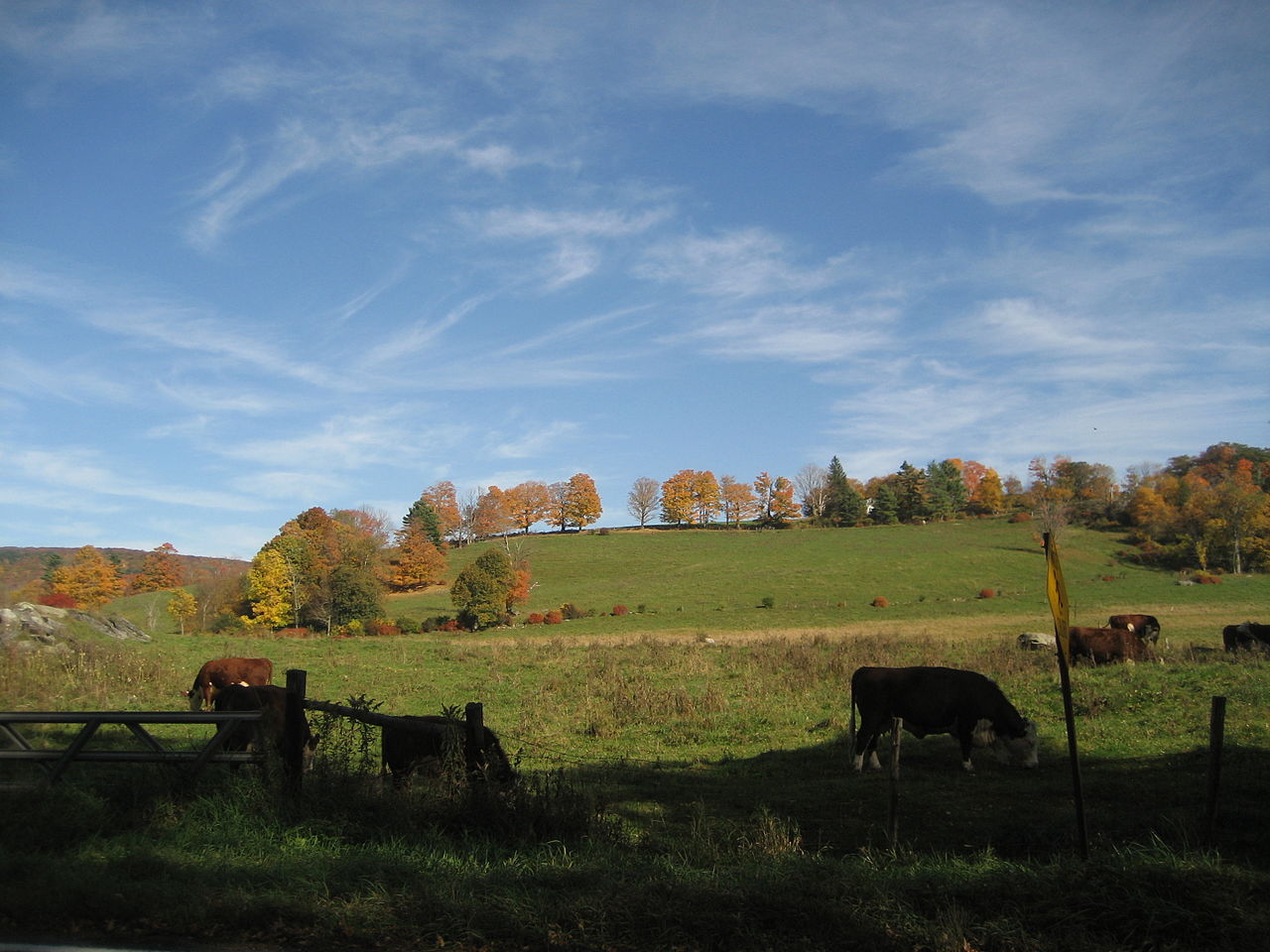 DSC-1002.jpg