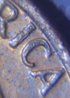 DSC00143 (550x413).jpg