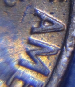 DSC00144 (550x413).jpg