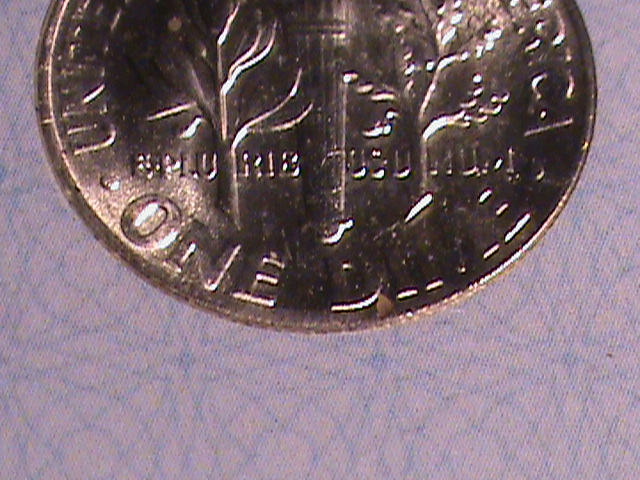 DSC00181.JPG