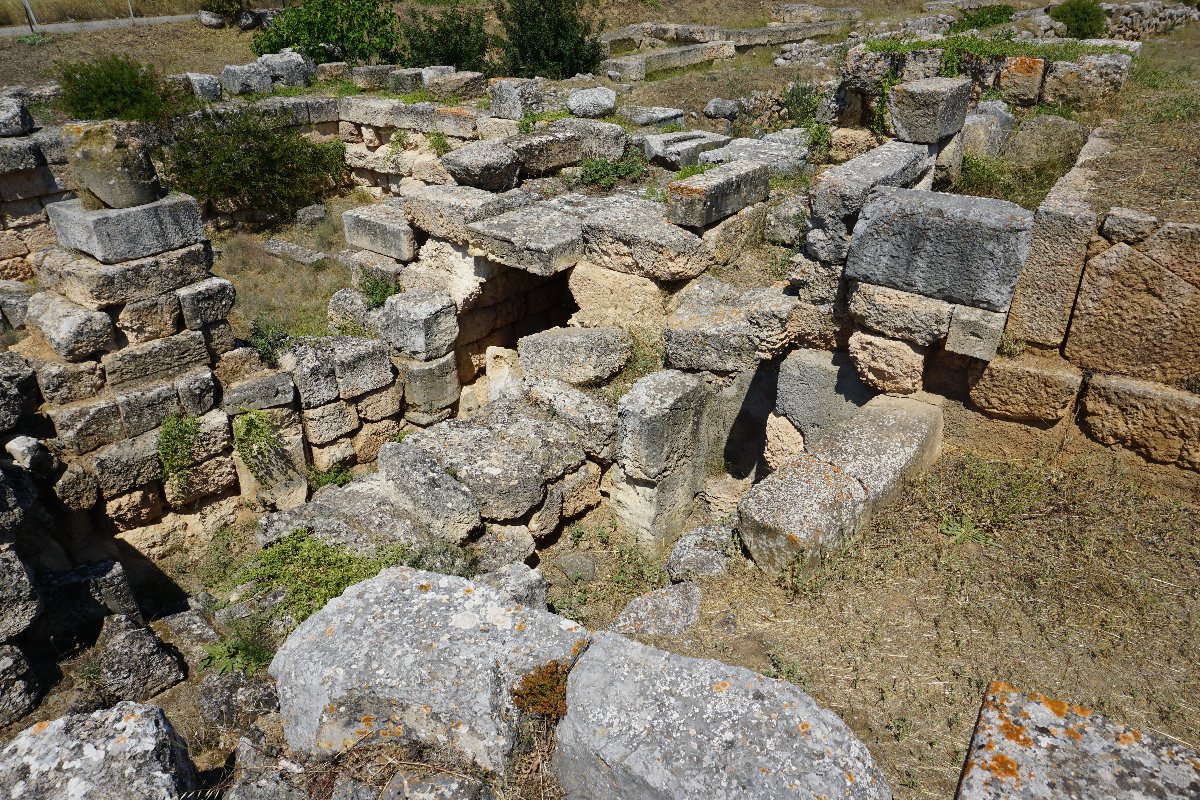 DSC00620-ccfopt.jpg