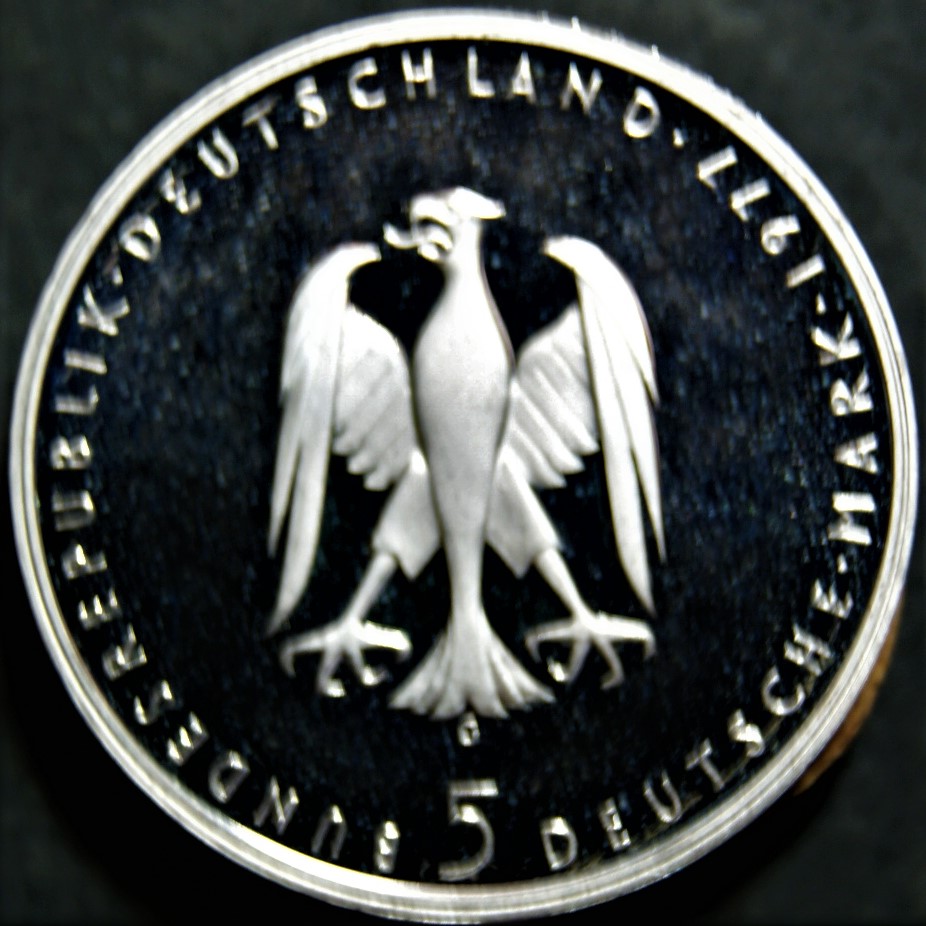 DSC01563.jpg