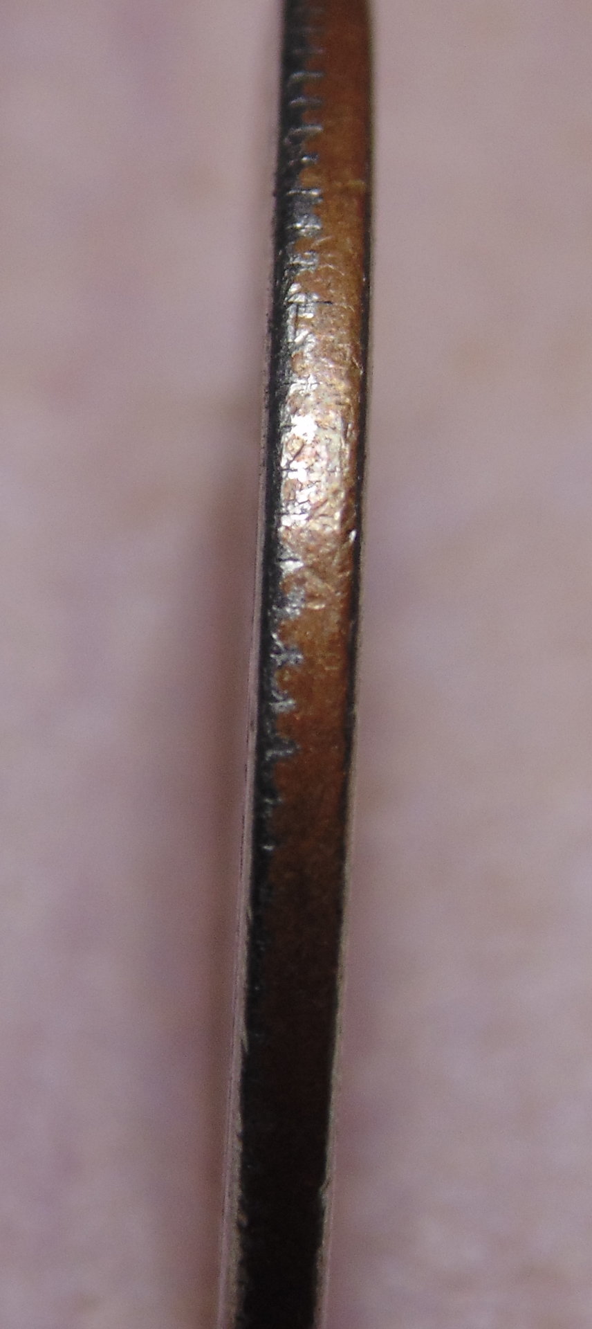 DSC01598.JPG