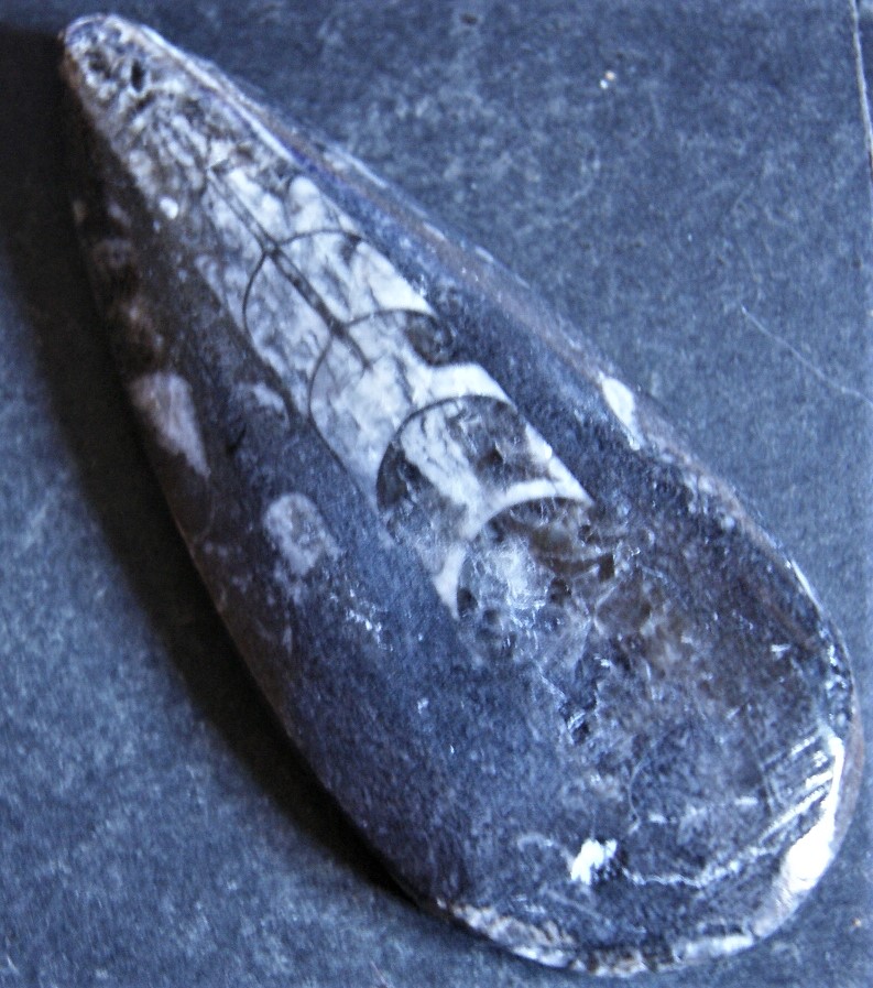 DSC01715.jpg