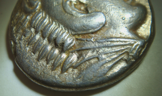DSC01988.JPG