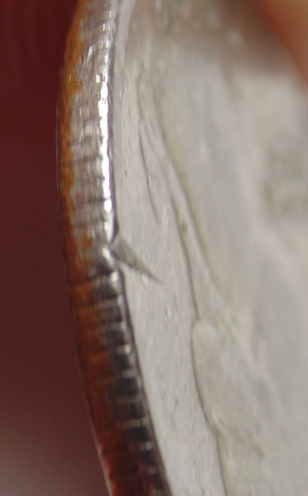 DSC02506.JPG