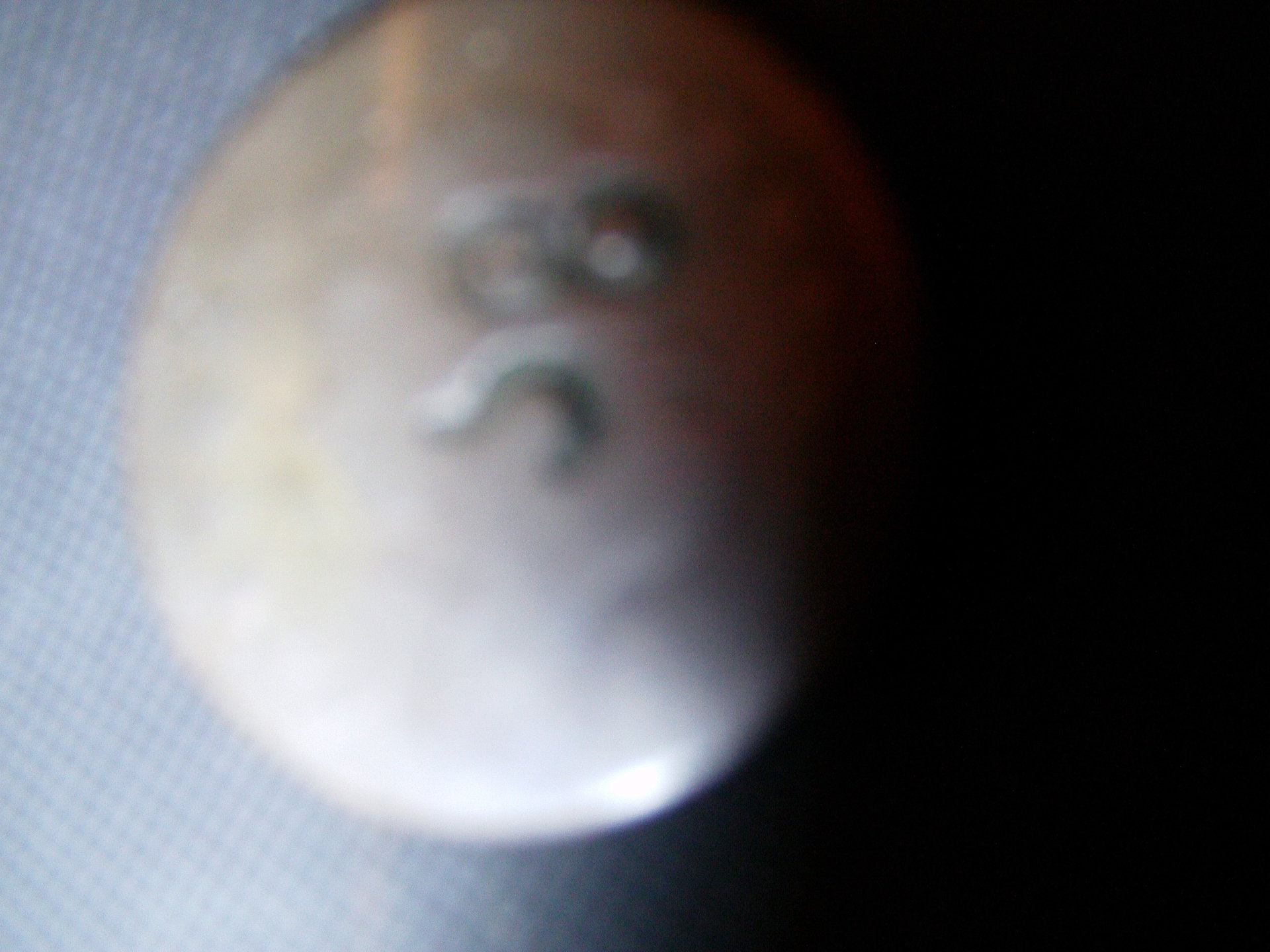 DSC02578.JPG